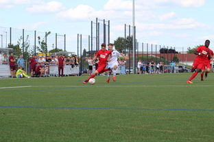 开云体育网站入口-未来足球运动场将实现环保材料全覆盖，绿色发展理念深入人心，室外足球场的运营方案